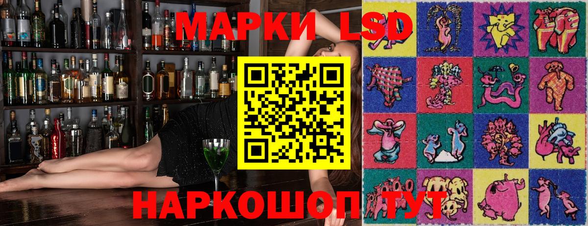 дарнет шоп  Марки NBOMe 1,5мг  Марки NBOMe 1,5мг  Вход с VPN  Бийск 