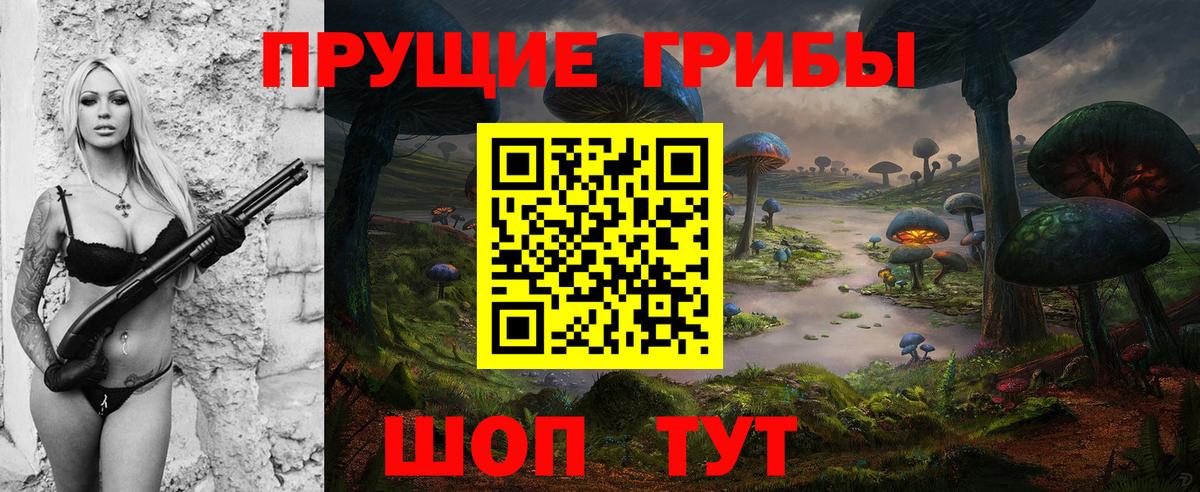 Псилоцибиновые грибы GOLDEN TEACHER  Вход с VPN  Бийск 
